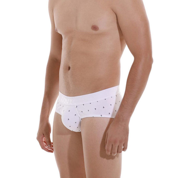 Briefs