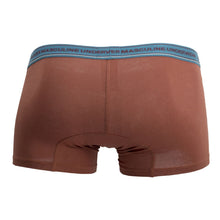 Load image into Gallery viewer, Clever 2394 Attractive Boxer Briefs Color Brown