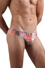 Load image into Gallery viewer, Doreanse 1401-PRN Tiger Stripes Briefs Color Printed