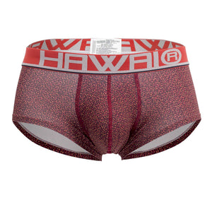 HAWAI 42024 Briefs Color Terracotta