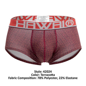 HAWAI 42024 Briefs Color Terracotta