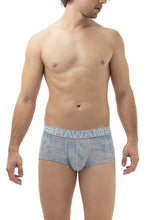 Load image into Gallery viewer, HAWAI 42231 Cotton Trunks Color Gray