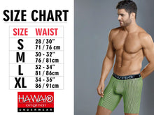 Load image into Gallery viewer, HAWAI 41903 Solid Athletic Boxer Briefs Color Green