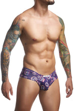 Load image into Gallery viewer, JUSTIN+SIMON XSJ22 Cheek Briefs Color Pride