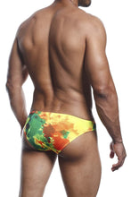 Load image into Gallery viewer, Joe Snyder JS01 Bikini Classic Color Spectrum