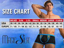 Load image into Gallery viewer, Magic Silk 6606 Silk Briefs Color Cobalt