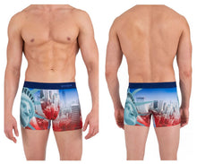 Load image into Gallery viewer, Papi 626725-904 NY Destination Boxer Briefs Color Multi-colored