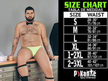 Load image into Gallery viewer, Pikante PIK 0220 BFF Mesh Trunks Color White