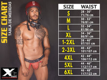 Load image into Gallery viewer, Xtremen 91207B Microfiber Briefs Color Black